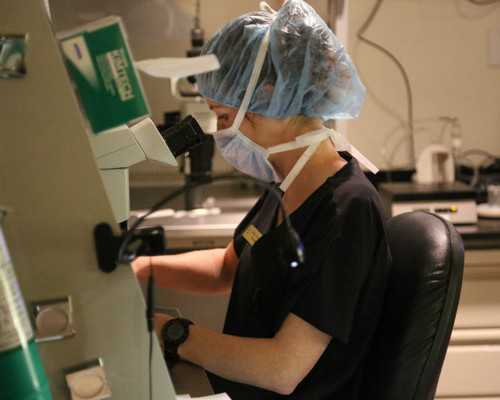 深圳什么医院可做供卵,深圳哪家医院可以做供卵试管?