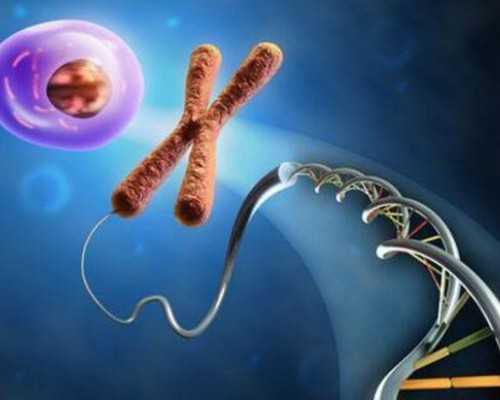 人在庆阳，想知道甘肃省哪家医院做第三代试管的成功率最高