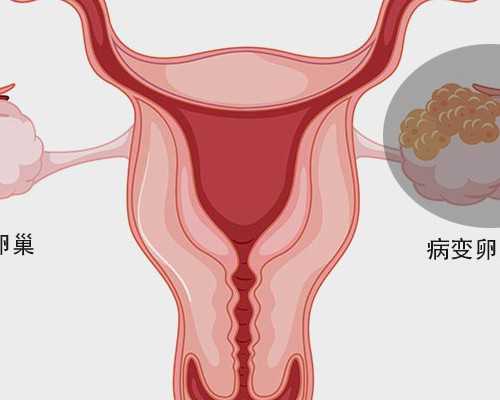 武汉试管婴儿成功率高的医院除了武汉同济还有哪些