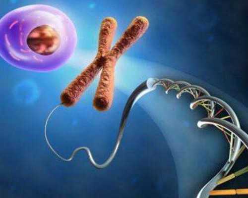 甘肃冷冻卵子需要多少钱,做甘肃试管婴儿要多少钱?