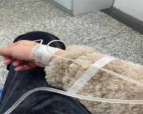 武汉代孕网医院,武汉试管成功率高的医院有哪些？附武汉供卵包生男孩费用明