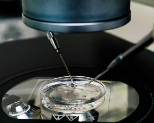 2023甘肃产检建档流程,甘肃社区预约九价hpv疫苗流程