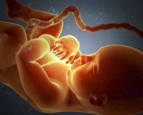 沈阳代孕复杂吗_寻仙手游没见过搬山蟹