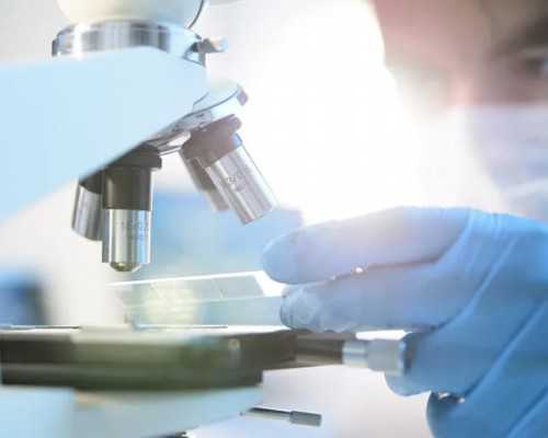 武汉专业代孕价格表|武汉做试管婴儿要注意什么?