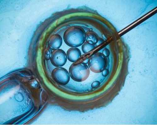 武汉清华女生供卵,武汉同济供卵试管吗济南供卵群(武汉供卵群)