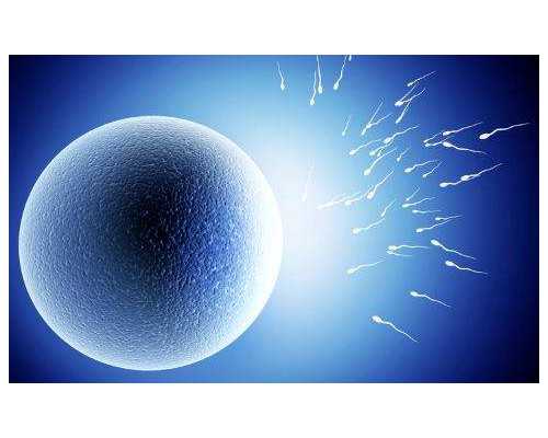 孕婴加盟店哪个品牌好？10大品牌排行榜揭晓