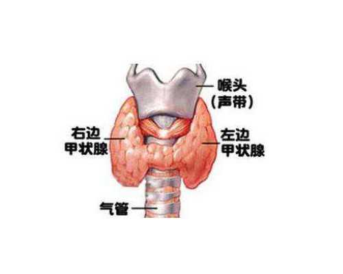你知道甘肃哪里可以做三代试管吗？求推荐最好的一家！