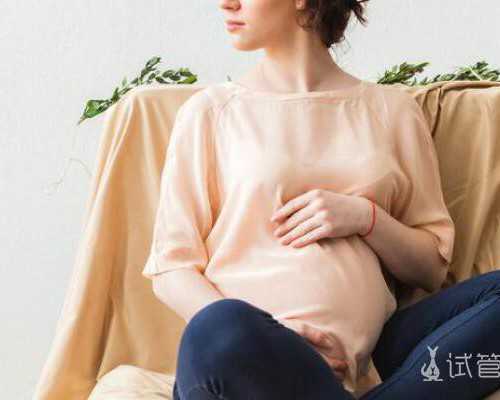 甘肃iso认证,甘肃iso认证办理电话,甘肃iso认证机构