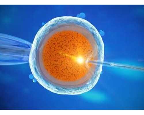 姓俞的男孩名字有哪些姓俞的男孩名字评分高