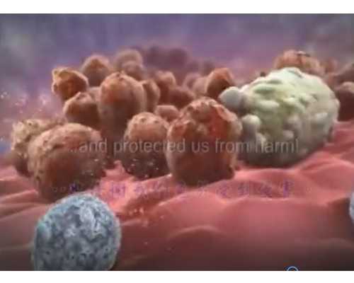 武汉供卵在哪里找,武汉41岁三代试管成功率，武汉试管婴儿费用