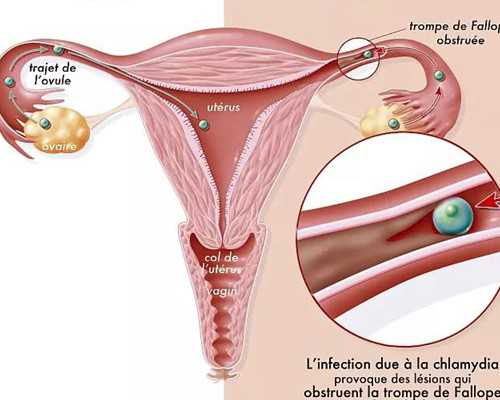 武汉代孕医院案例,武汉试管助孕医院,武汉试管成功率