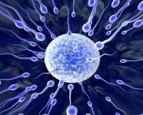 两侧输卵管切除，甘肃庆阳有没有可做试管婴儿的医院