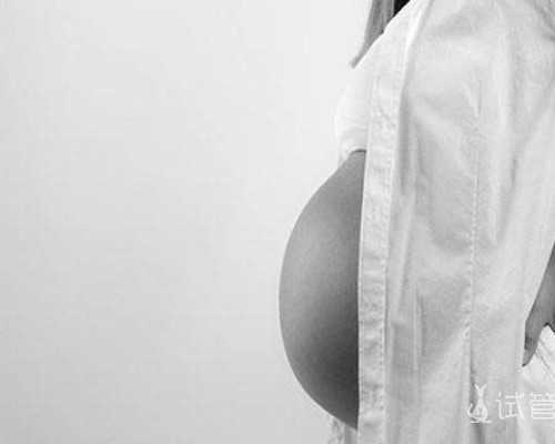 广州专业珍珠棉厂家，珍珠棉是什么材料做的