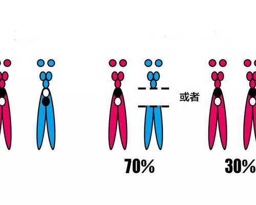 武汉去代孕生子靠谱吗,武汉41岁三代试管成功率,武汉试管婴儿费用