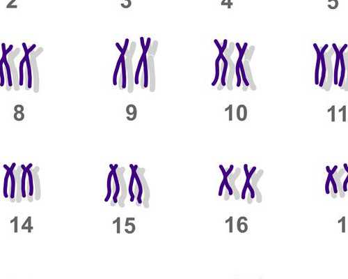 武汉哪里可以冷冻卵子,武汉哪里可以冷冻卵子