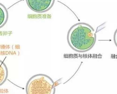 承德三代试管武汉
