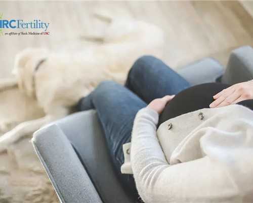 有腺肌症，在甘肃张掖做试管婴儿的成功率高不高？