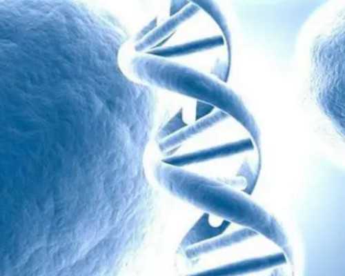 上海正规民营供卵机构名单出炉,请问上海供卵试管中介可靠吗