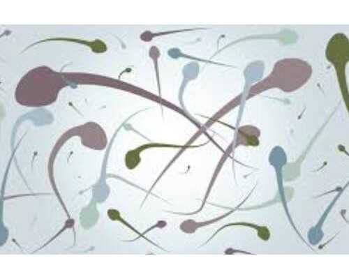 武汉试管代生机构,武汉能做试管的正规医院,武汉试管婴儿医院