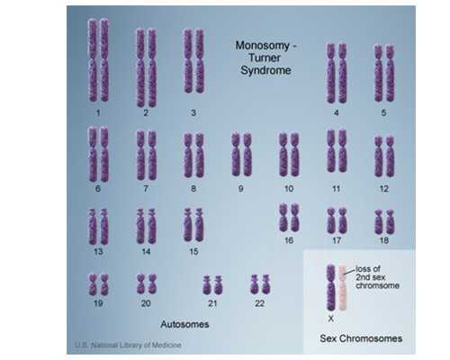 2023年在武汉同济医院生殖科做试管婴儿大概多少钱?