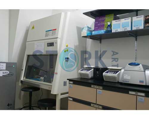 少精症可以生育吗?怎么治疗好?