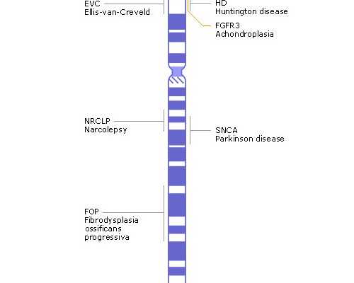 甘肃有免费做试管的医院吗,甘肃地下三代试管安全吗