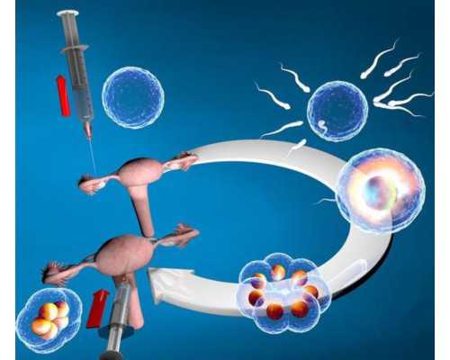 武汉结婚落户流程,2023武汉结婚落户新政策