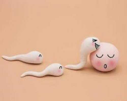 武汉市辅助生殖联盟新添成员！实现资源共享提高诊疗水平