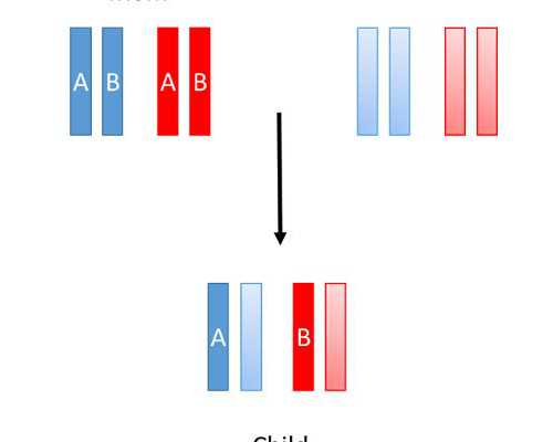 甘肃冷冻卵子需要多少钱,甘肃做试管婴儿要花多少钱