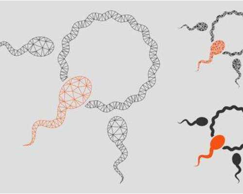 武汉供卵试管包生男孩费用,武汉最大的供卵试管中心在哪一家生殖机构？