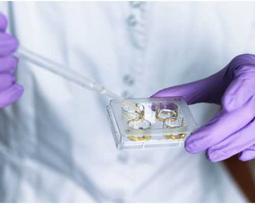 武汉试管代怀流程|咸宁三代试管费用是多少_三代试管武汉