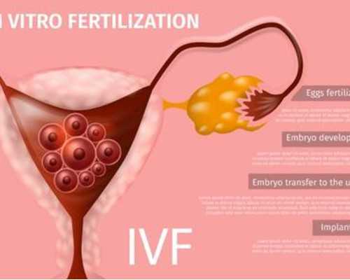 孕妇一天吃虾不能超过多少?还能吃哪些食物补充蛋白质?
