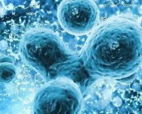 精子畸形率高，在甘肃天水做试管婴儿成功率高吗？