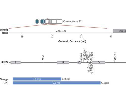 甘肃独生子补贴发放流程,谁知道甘肃试管婴儿过程要多久