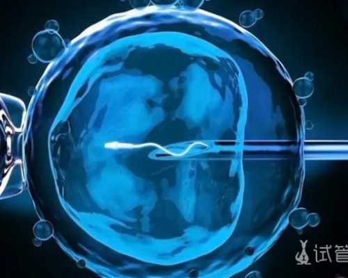 绍兴代孕哪个医院能做 绍兴做试管婴儿多少钱 ‘怀女儿跟怀儿子b超区别’