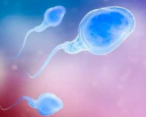 甘肃生育率骤降14倍,网友:生育自由也有苦衷,赶紧打住吧