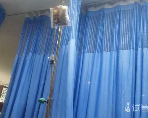 北京协和可以排队做供卵试管婴儿吗？,北京做供卵试管的医院推荐_泰迪犬怎么