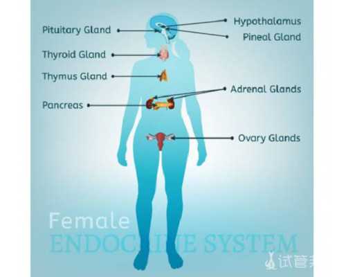承德三代试管武汉