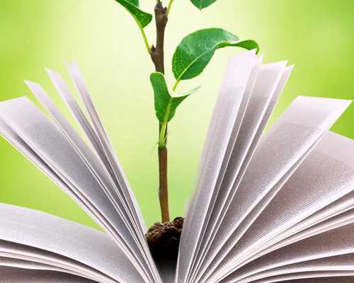 温州供卵机构哪个好 温州中山医院生殖医学中心 ‘b超看男女xy是什么意思啊’