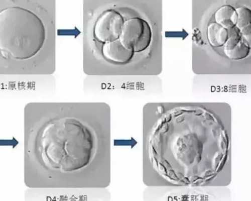 甘肃哪里可以冷冻卵子?,外院取卵6次,从甘肃到甘肃,黎雪玲主任圆了她的妈妈