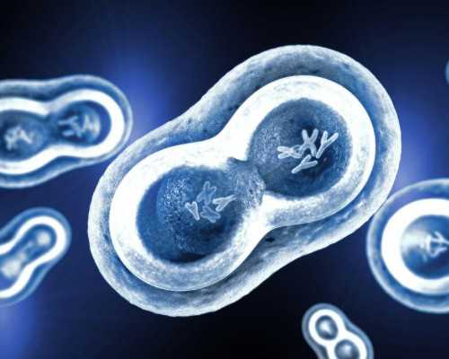 哈尔滨中方代孕流程 哈尔滨试管婴儿价格表 ‘胎儿四维图片分析男女’