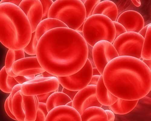 代生孩子哪家武汉专业 武汉同济做试管多少钱做试管的钱都花在哪? ‘16周b超