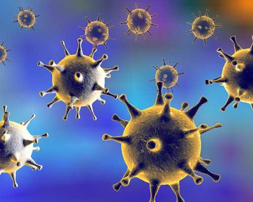 黑芝麻不能和什么一起吃