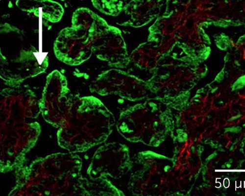 武汉正规靠谱代孕网,武汉41岁三代试管成功率，武汉试管婴儿费用