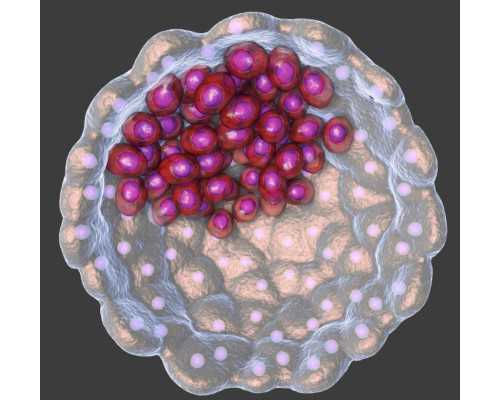 怀孕五个月下腹坠胀怎么回事