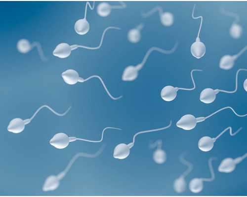 甘肃iso认证,甘肃iso认证办理电话,甘肃iso认证机构