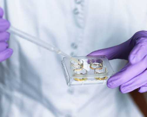 青岛a卵怀价格 青岛出生证明网上办理流程 ‘怀孕18周彩超看男女图’