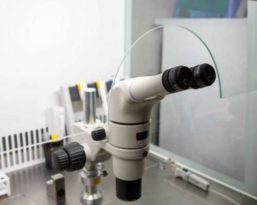 金银花、菊花、枸杞一起泡水喝功效？