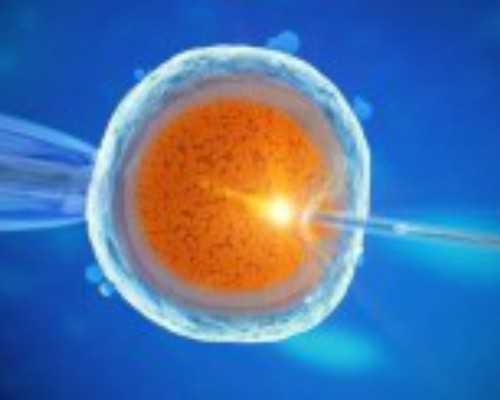 甘肃供卵包男孩多少钱,甘肃做试管一共要多少钱