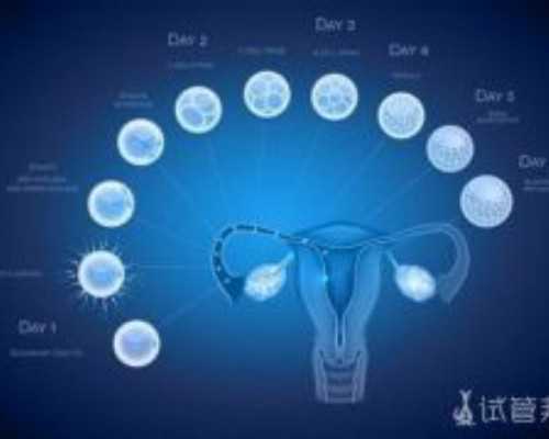 寻北京代孕 北京三代试管婴儿医院 ‘七个月女孩生殖b超图’